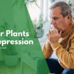 Best indoor plants for depression