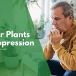 Best indoor plants for depression
