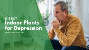Best indoor plants for depression
