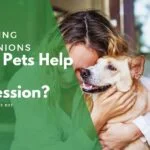 What pets help with depression